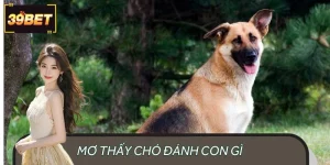 Mơ Thấy Chó Đánh Con Gì - Giải Mã Để Đưa Ra Quyết Định